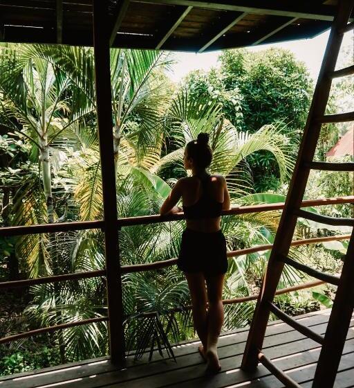 家庭间, Selvista Guesthouses