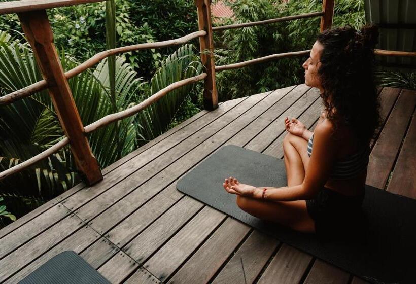 家庭间, Selvista Guesthouses