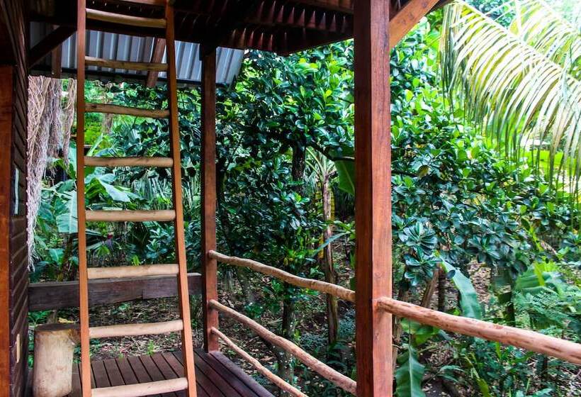 1间卧室的房子, Selvista Guesthouses