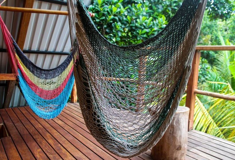 1间卧室的房子, Selvista Guesthouses