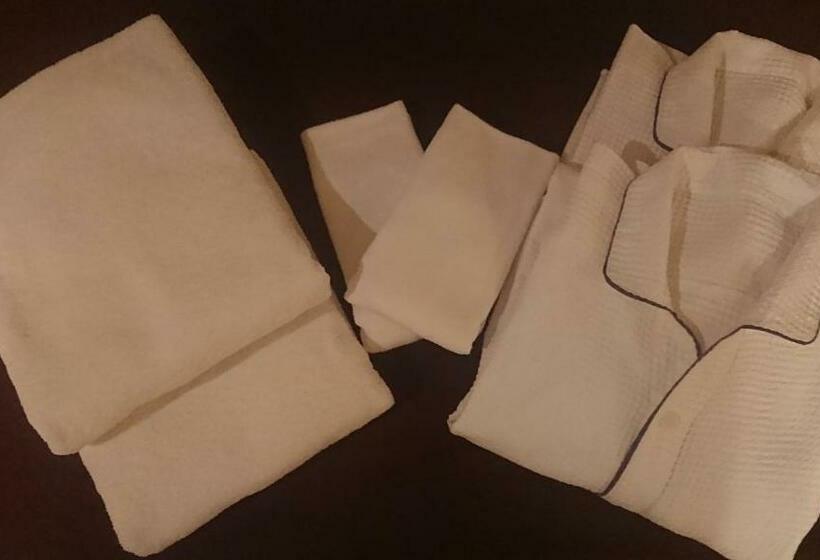 اتاق استاندارد, Aloha Inn Aine