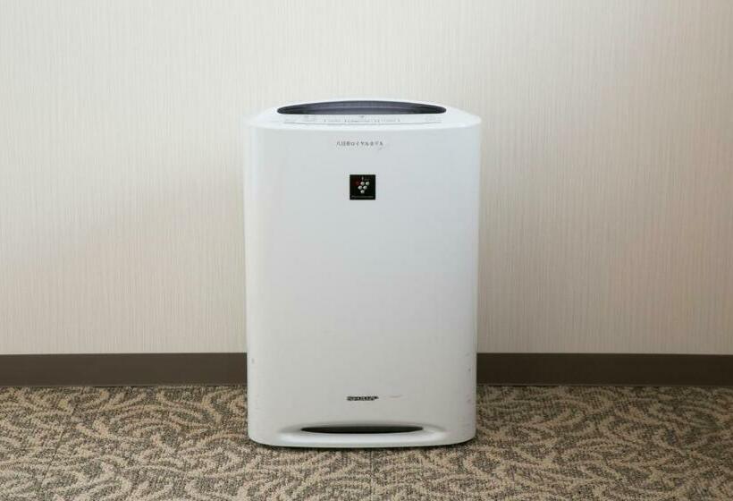 غرفة قياسية فردية, Yokaichi Royal