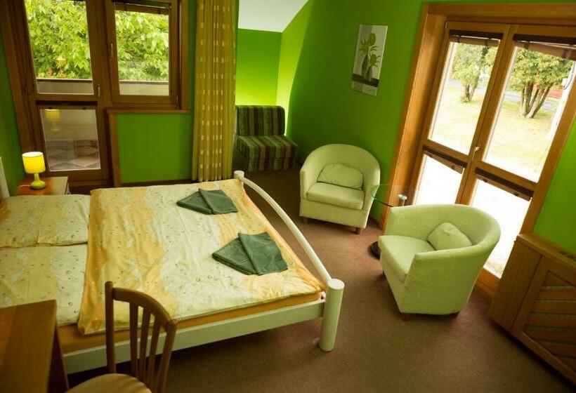 Номер Deluxe с Балконом, Penzion Jople