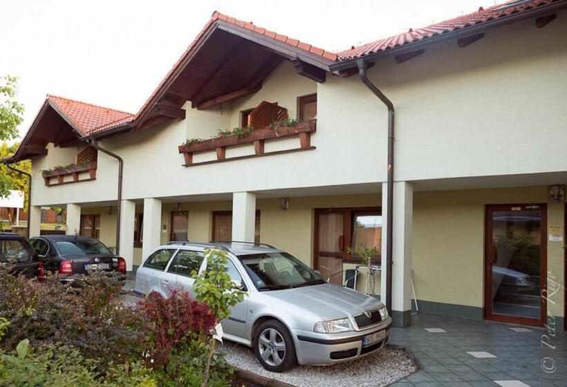 Номер Стандарт Адаптированный для Инвалидов, Penzion Jople