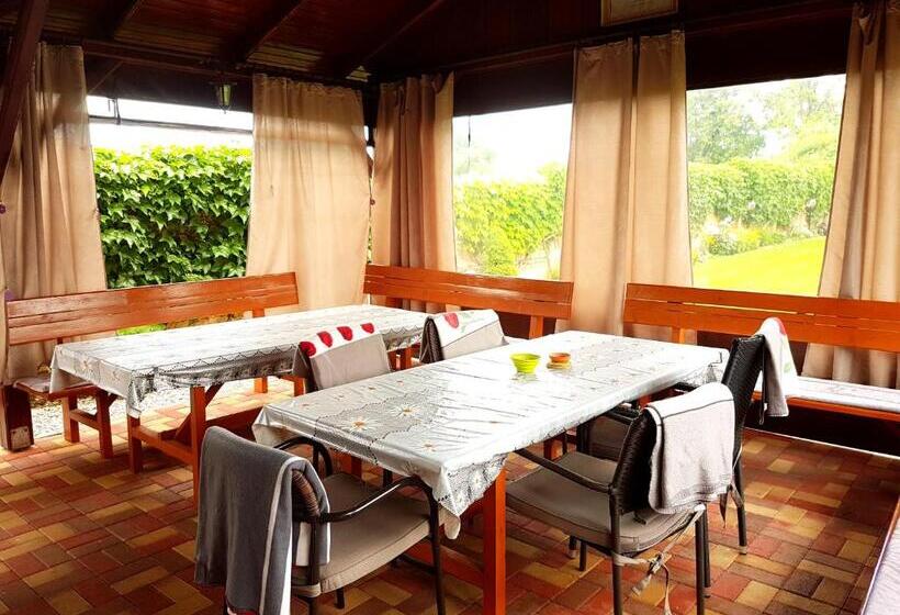 Семейное Студио, Penzion Termál