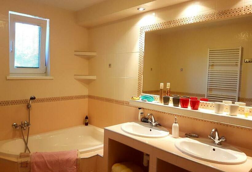 Апартаменты 1 Спальня с Террасой, Penzion Termál