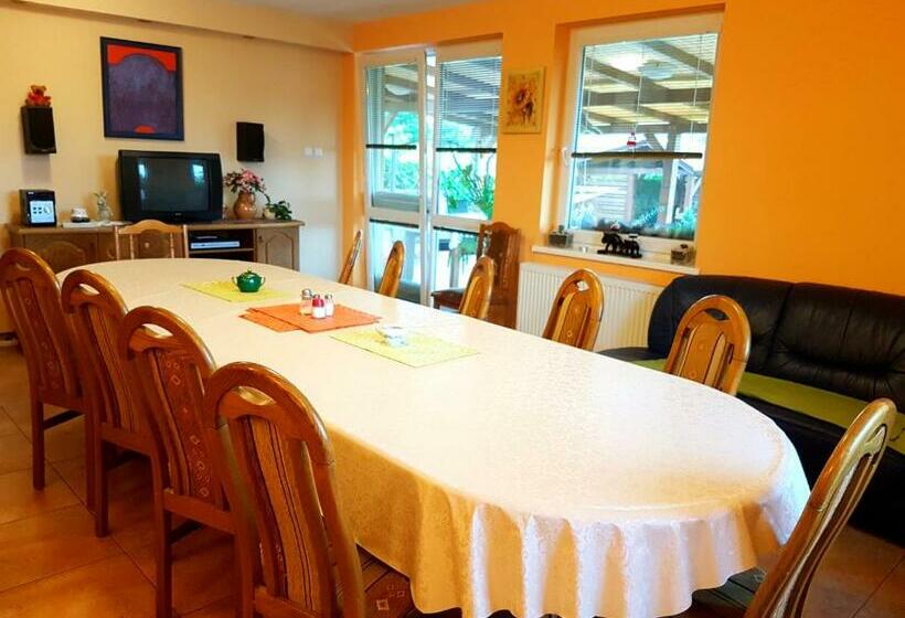 Апартаменты 1 Спальня с Террасой, Penzion Termál