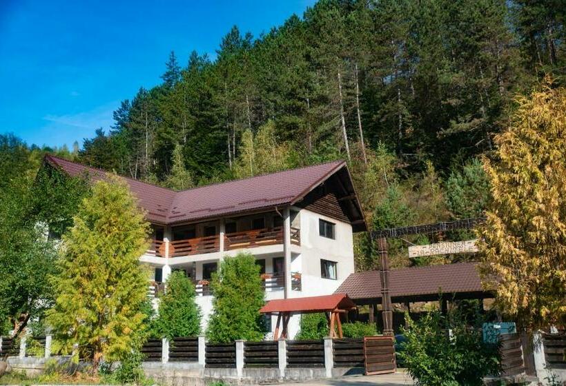 اتاق استاندارد, Pensiunea La Rachitele