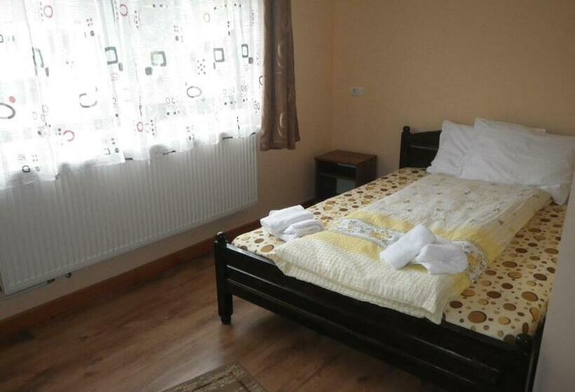 اتاق استاندارد, Pensiunea La Rachitele