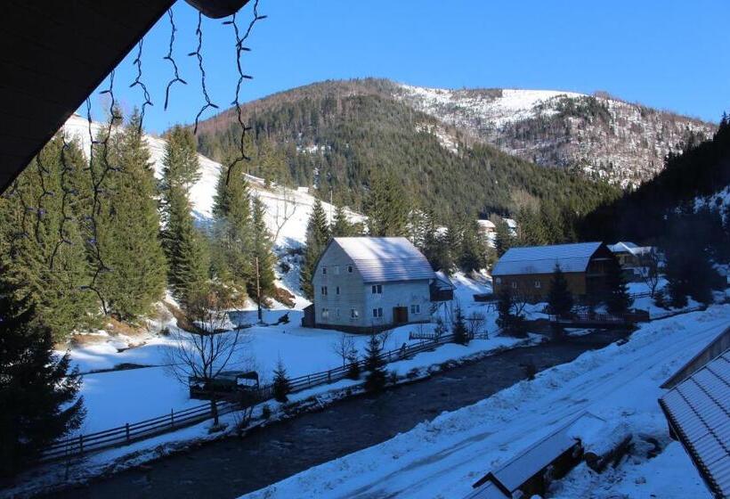 Номер Стандарт Вид на Горы, Berloga Sinevir