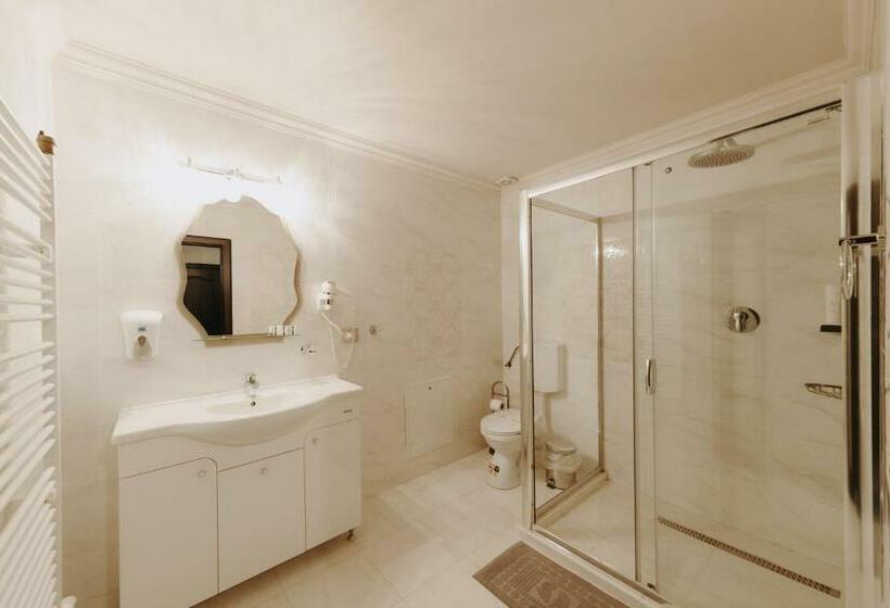 شقة سوبريور غرفة واحدة, Aries Vârtop