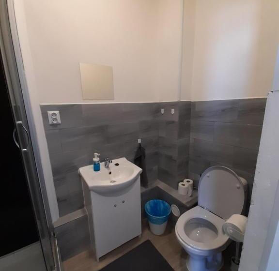 חדר משפחתי, Pension U Johnů