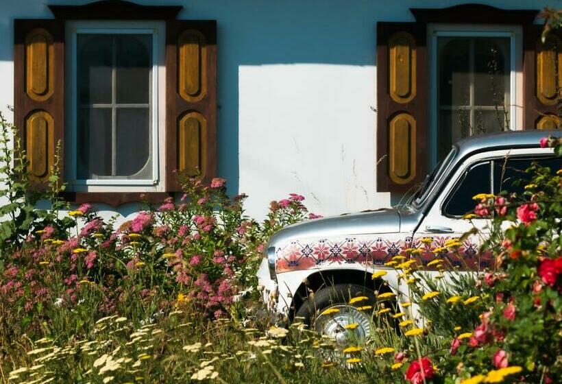 غرفة قياسية, Vesela Sadyba