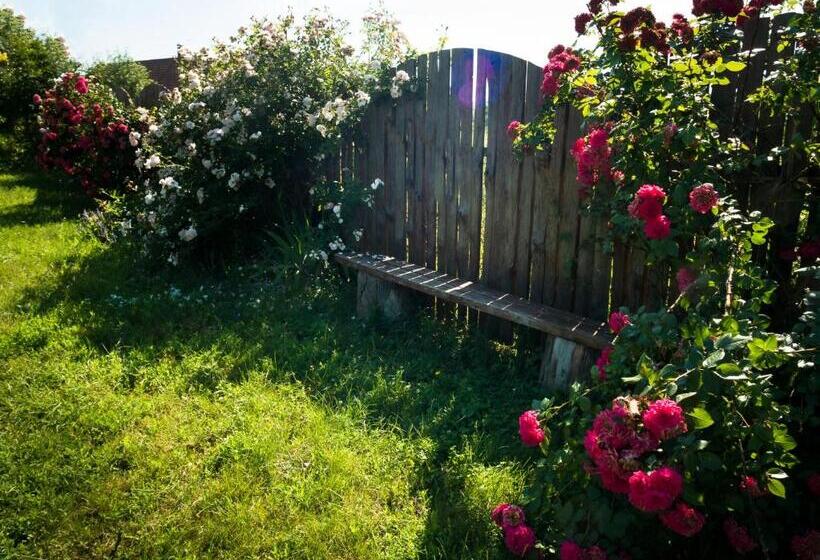 غرفة قياسية, Vesela Sadyba