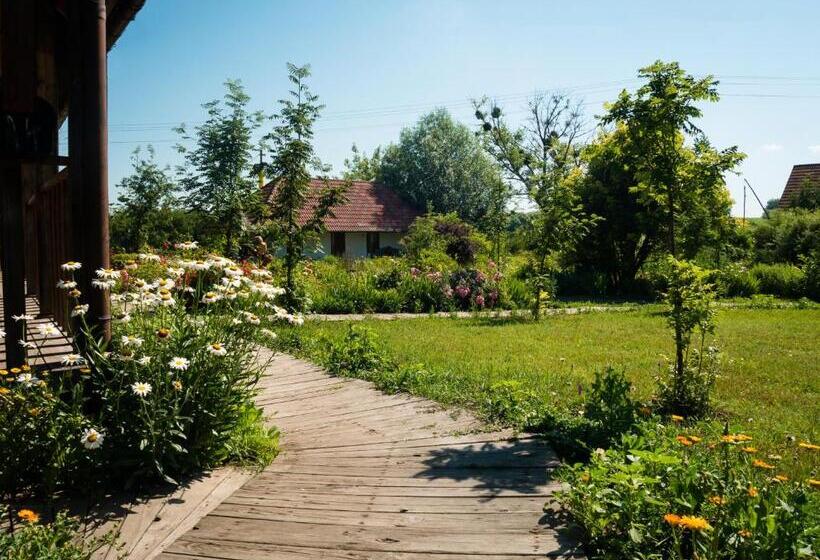 غرفة قياسية, Vesela Sadyba