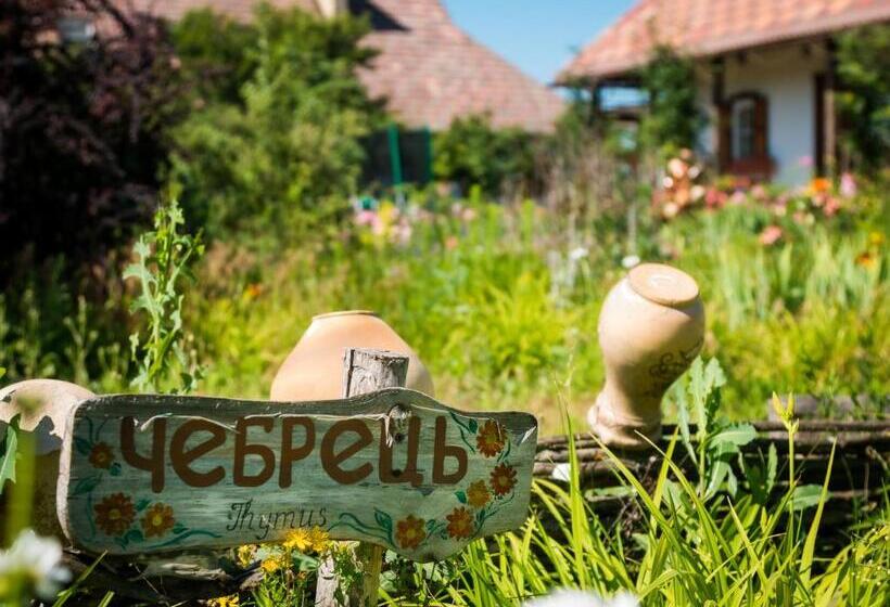 غرفة قياسية, Vesela Sadyba