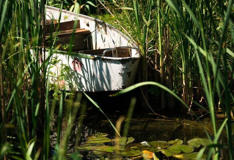 غرفة قياسية, Vesela Sadyba