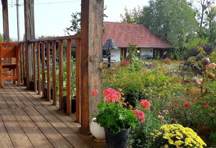 Семейный Номер Вид на Сад, Vesela Sadyba