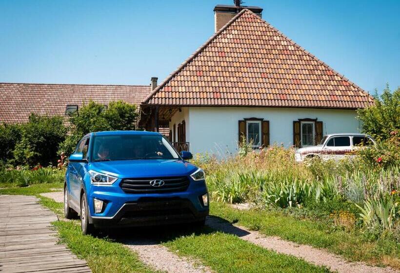 غرفة قياسية, Vesela Sadyba