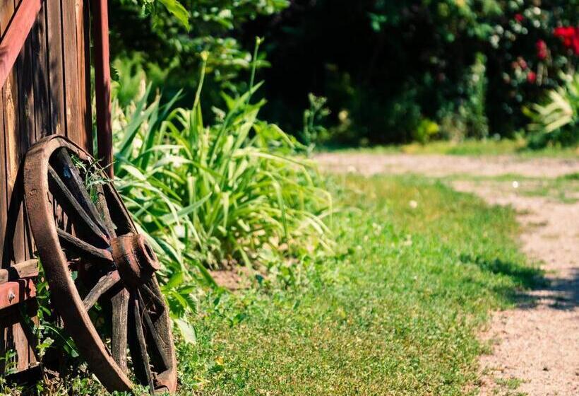 غرفة قياسية رباعية, Vesela Sadyba