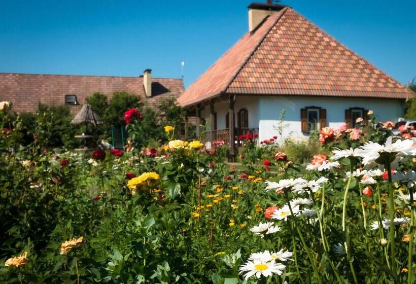 غرفة عائلية مطلّة علي الحديقة, Vesela Sadyba