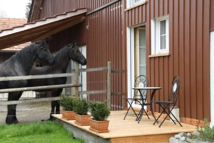 テラス付きシングルルーム, Bnb Haag