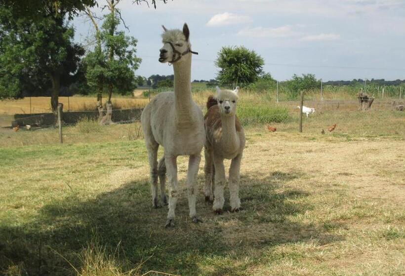 标准间, Chambre D'hôtes Les Ormeaux