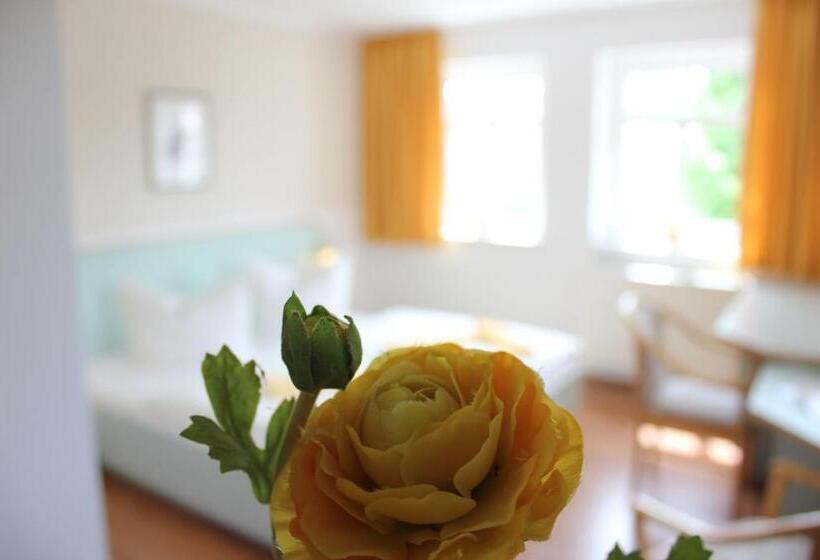 スタンダードルーム, Lindenhof