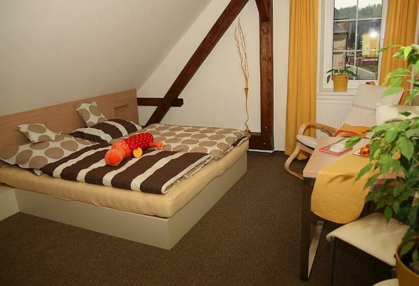 غرفة قياسية, Penzion A Relax Centrum Andělka