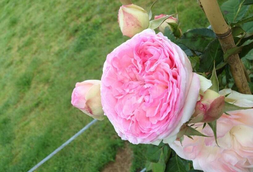 스위트, B&b Entre Terre Et Mer