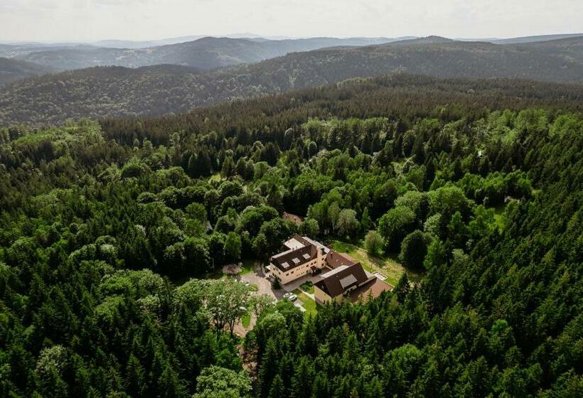 غرفة قياسية ثلاثية, Amantis Vital Sport