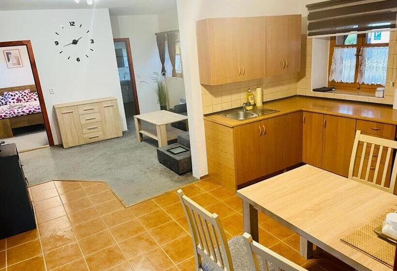 1 Szobás Apartman, Penzion Rejviz