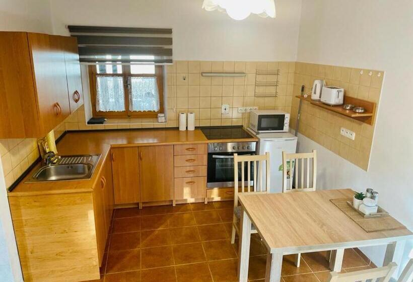 1 Szobás Apartman, Penzion Rejviz
