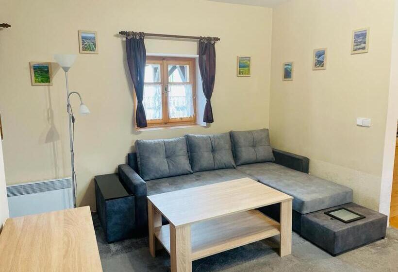 1 Szobás Apartman, Penzion Rejviz