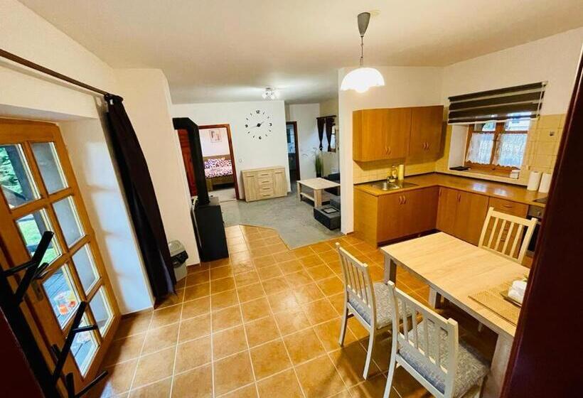 1 Szobás Apartman, Penzion Rejviz