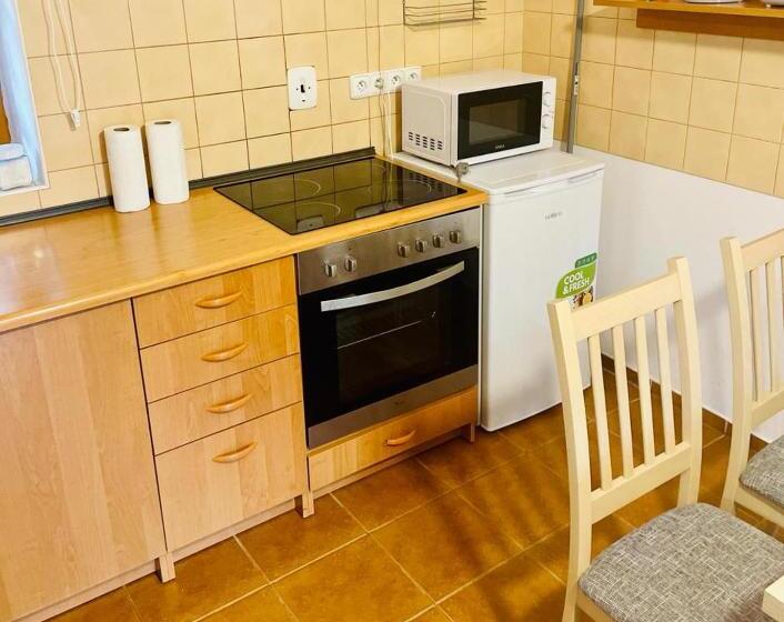 1 Szobás Apartman, Penzion Rejviz