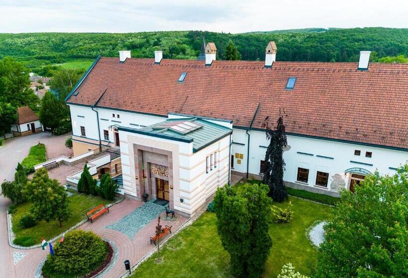 庭の見えるシングルルーム, Vécsecity Superior