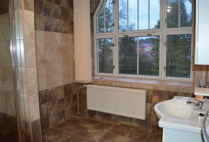 חדר דלוקס לארבעה, Penzion Jungmannova