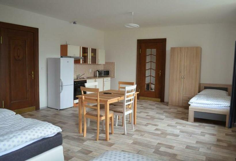 חדר דלוקס לארבעה, Penzion Jungmannova