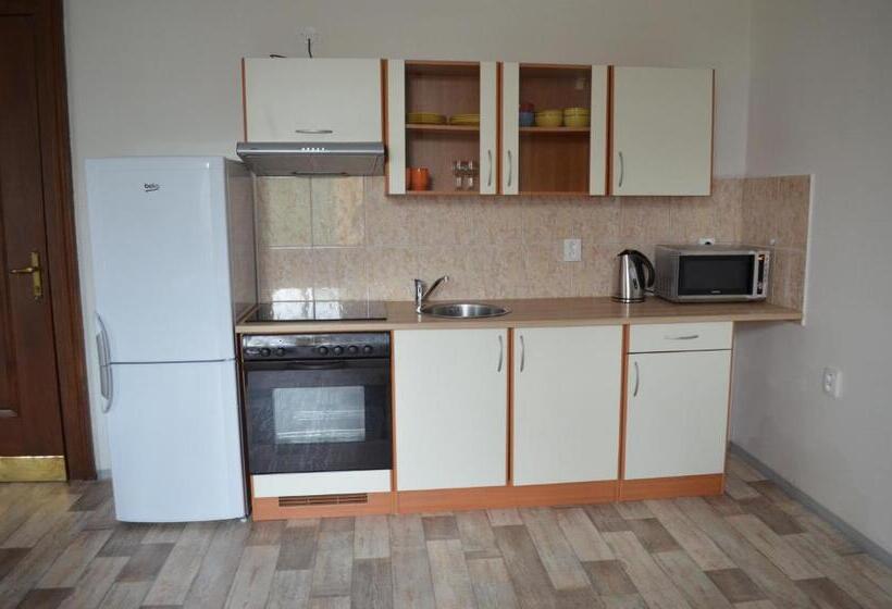 חדר דלוקס לארבעה, Penzion Jungmannova