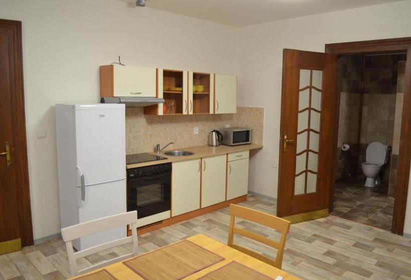 חדר דלוקס לארבעה, Penzion Jungmannova