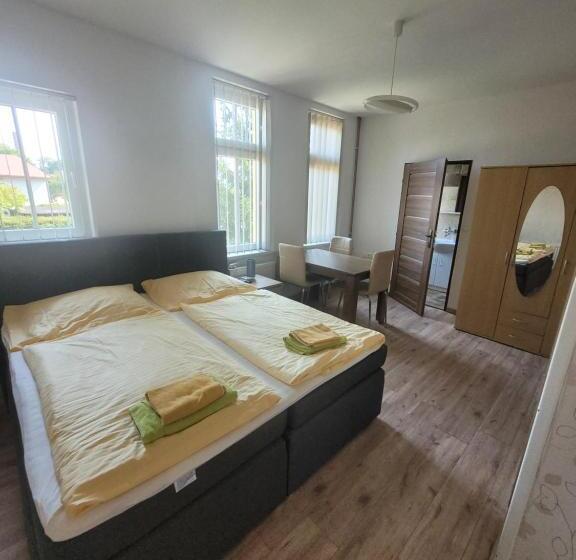 חדר סטנדרט לשלושה, Penzion Jungmannova