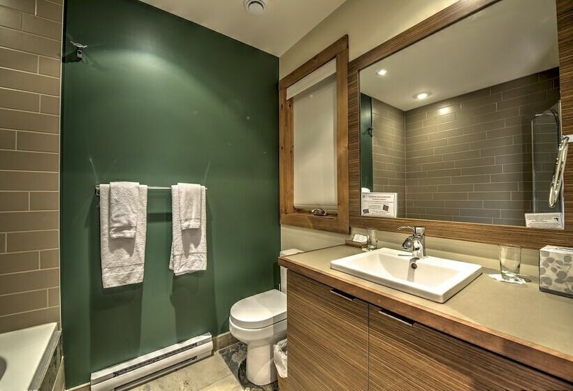 带1个卧室的公寓, Le Grand R