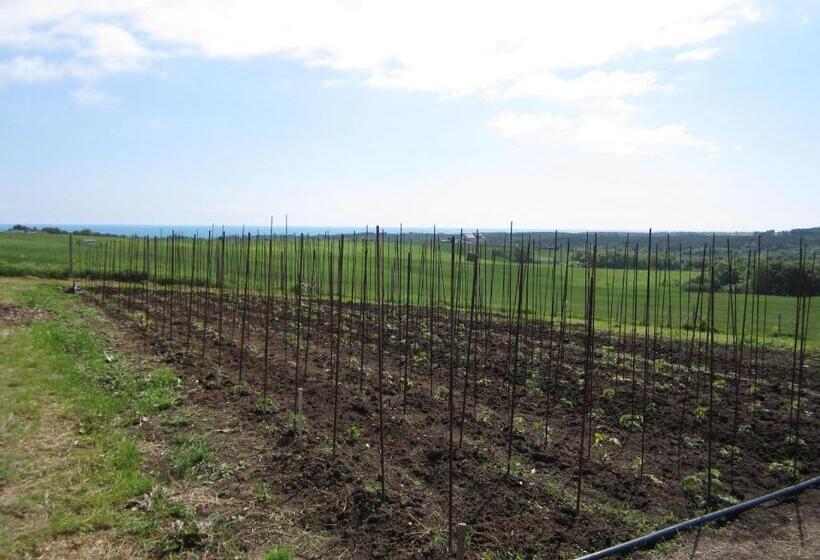 חדר דלוקס עם מרפסת נוף לים, Vis Velika