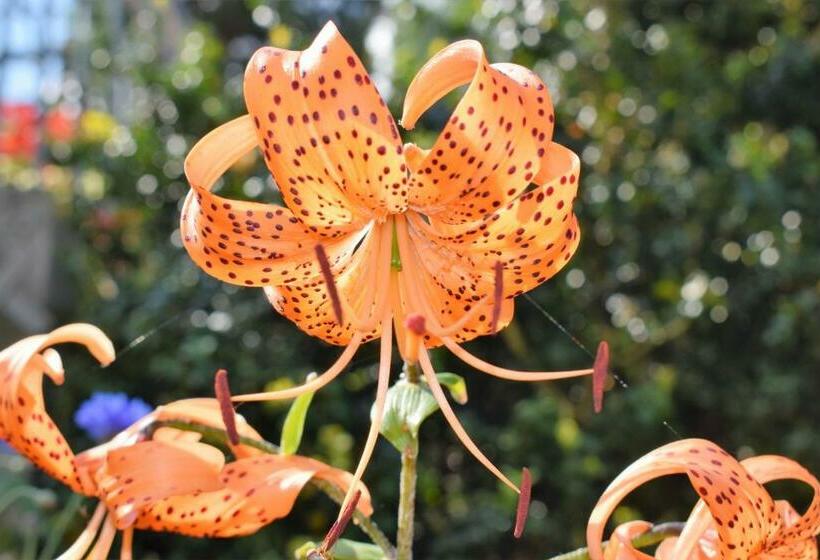 带1个卧室的公寓, Ferienhof Mairulrich