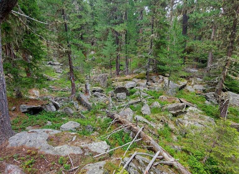 דירת שלושה חדרים, Ferienhof Mairulrich