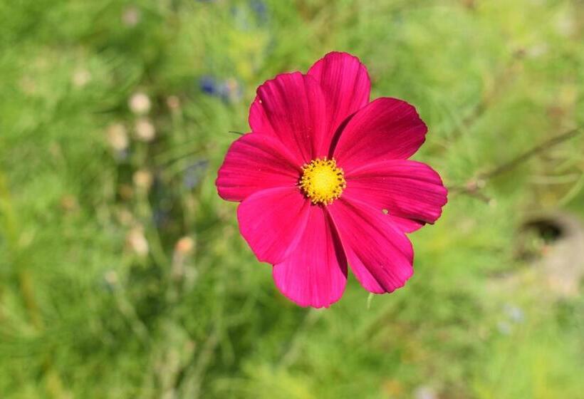 带3个卧室的公寓, Ferienhof Mairulrich