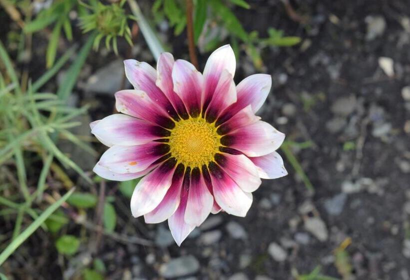 带1个卧室带花园景观的公寓, Ferienhof Mairulrich