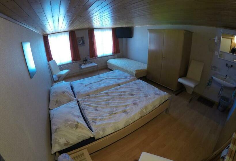 غرفة قياسية ثلاثية حمام مشترك, Garni Traube B&b