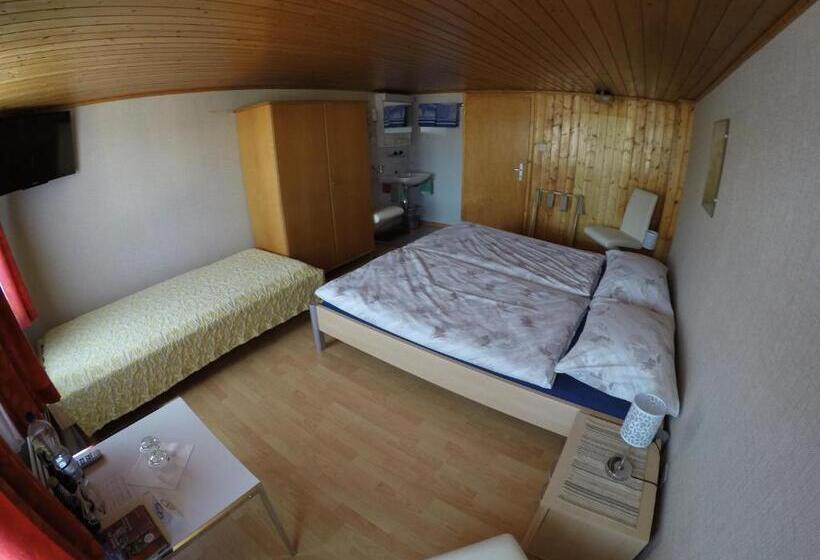 اتاق استاندارد سه تخته با سرویس بهداشتی مشترک, Garni Traube B&b
